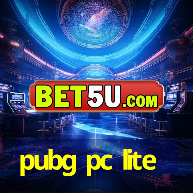 pubg pc lite